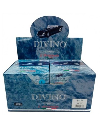 6 Slip Uomo Divino Art. 76 in 100% Cotone Mercerizzato - Taglie Regolari
